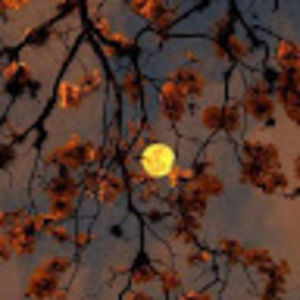 Meet your Posher, Aakifah